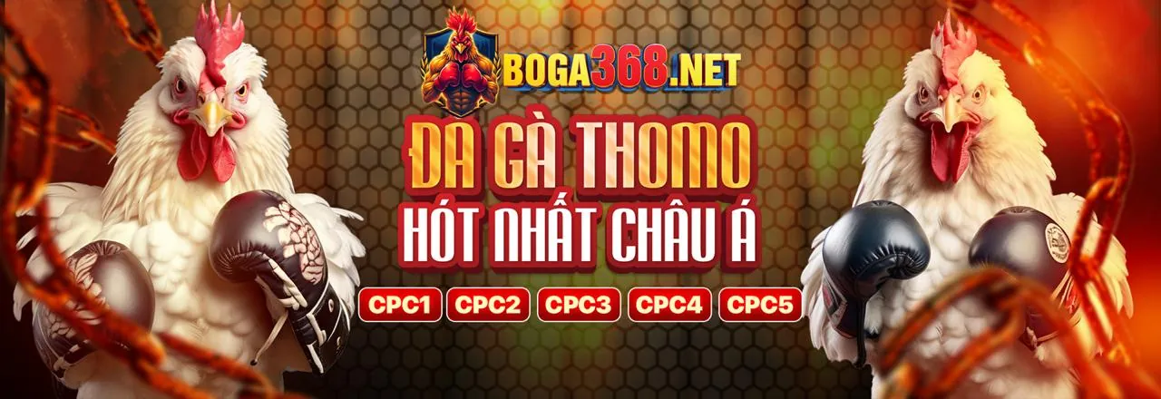Nền tảng đăng ký n1885
