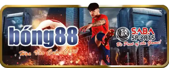 Ứng dụng cá cược thể thao di động n1885 với tính năng bảo mật và thống kê trực tiếp
